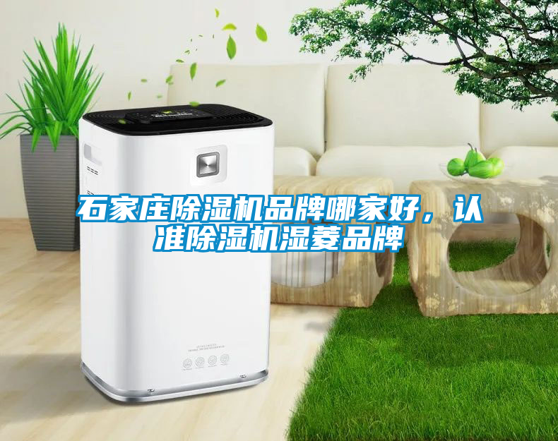 石家莊除濕機(jī)品牌哪家好，認(rèn)準(zhǔn)除濕機(jī)濕菱品牌