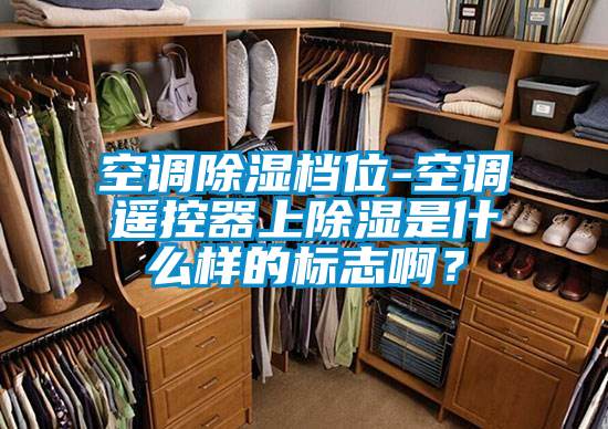 空調(diào)除濕檔位-空調(diào)遙控器上除濕是什么樣的標(biāo)志啊？