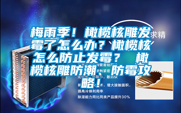 梅雨季！橄欖核雕發(fā)霉了怎么辦？橄欖核怎么防止發(fā)霉？ 橄欖核雕防潮、防霉攻略！