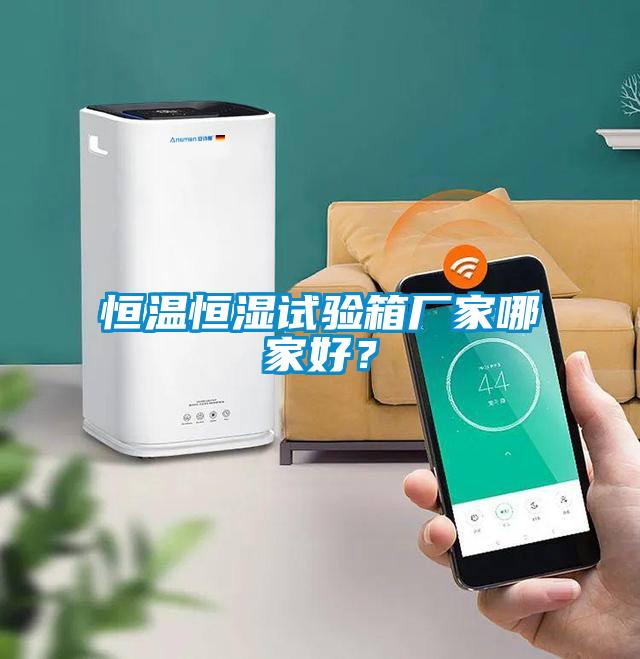 恒溫恒濕試驗(yàn)箱廠家哪家好？