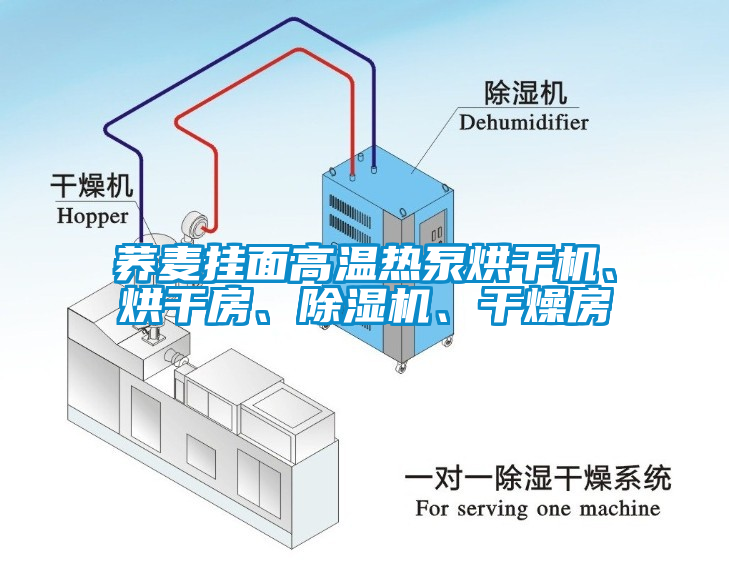 蕎麥掛面高溫?zé)岜煤娓蓹C(jī)、烘干房、除濕機(jī)、干燥房