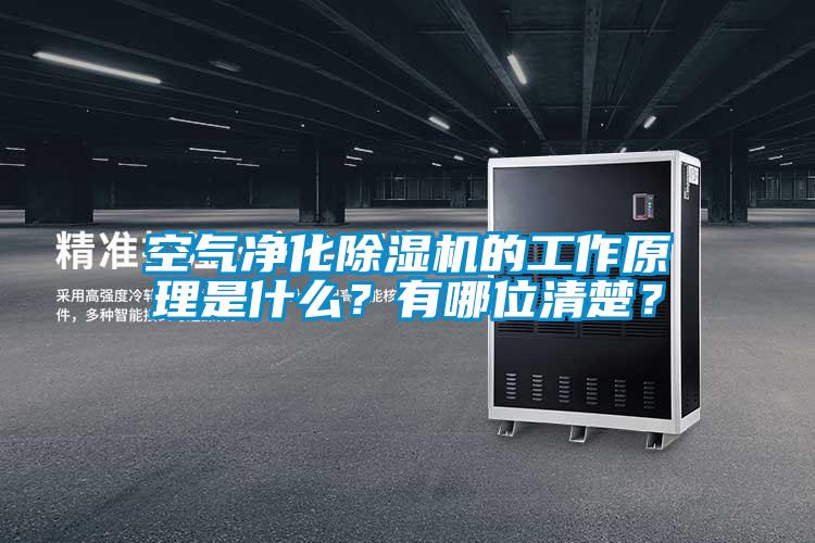 空氣凈化除濕機的工作原理是什么？有哪位清楚？