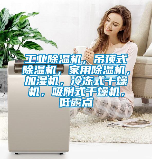 工業(yè)除濕機(jī)，吊頂式除濕機(jī)，家用除濕機(jī)，加濕機(jī)，冷凍式干燥機(jī)，吸附式干燥機(jī)，低露點