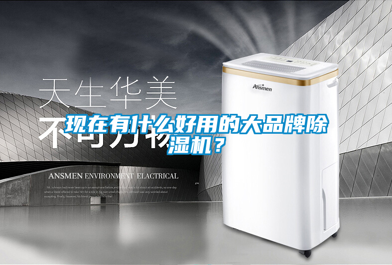 現(xiàn)在有什么好用的大品牌除濕機(jī)？