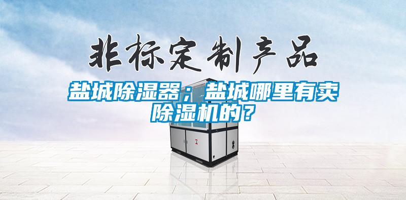 鹽城除濕器；鹽城哪里有賣除濕機的？