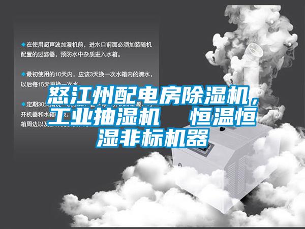 怒江州配電房除濕機(jī)，工業(yè)抽濕機(jī)  恒溫恒濕非標(biāo)機(jī)器
