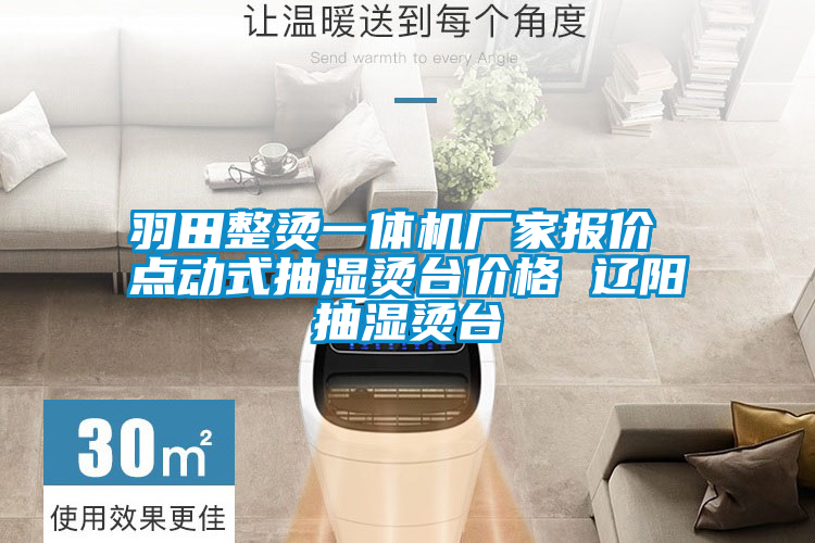 羽田整燙一體機(jī)廠家報(bào)價(jià) 點(diǎn)動式抽濕燙臺價(jià)格 遼陽抽濕燙臺