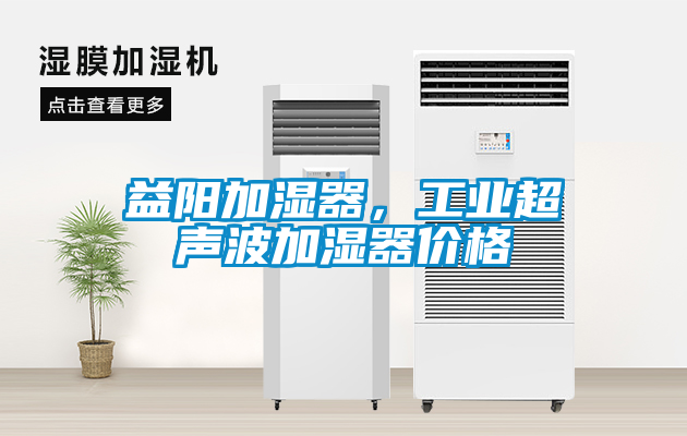 益陽加濕器，工業(yè)超聲波加濕器價格