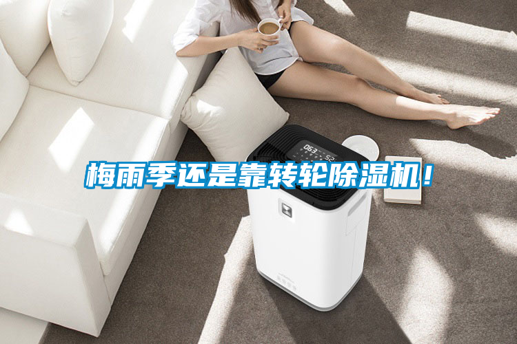 梅雨季還是靠轉(zhuǎn)輪除濕機(jī)！