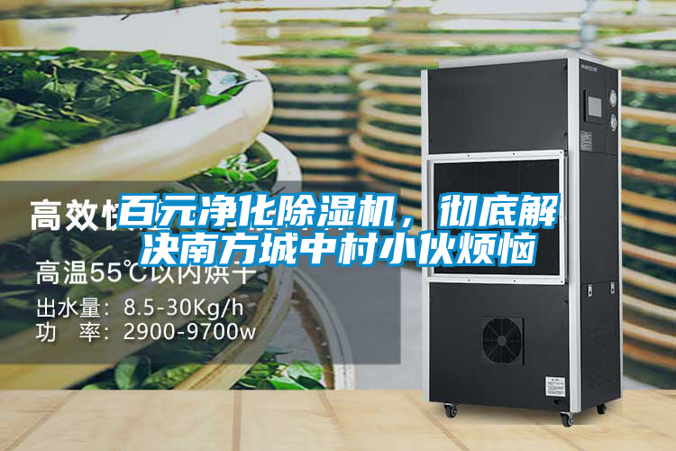 百元凈化除濕機(jī)，徹底解決南方城中村小伙煩惱