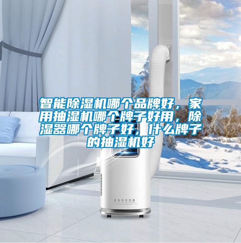 智能除濕機哪個品牌好，家用抽濕機哪個牌子好用，除濕器哪個牌子好，什么牌子的抽濕機好