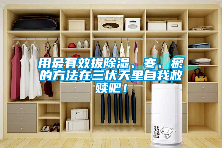 用最有效拔除濕、寒、瘀的方法在三伏天里自我救贖吧！