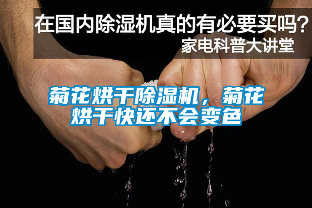 菊花烘干除濕機(jī)，菊花烘干快還不會(huì)變色