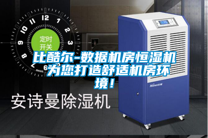 比酷爾-數(shù)據(jù)機(jī)房恒濕機(jī) 為您打造舒適機(jī)房環(huán)境！