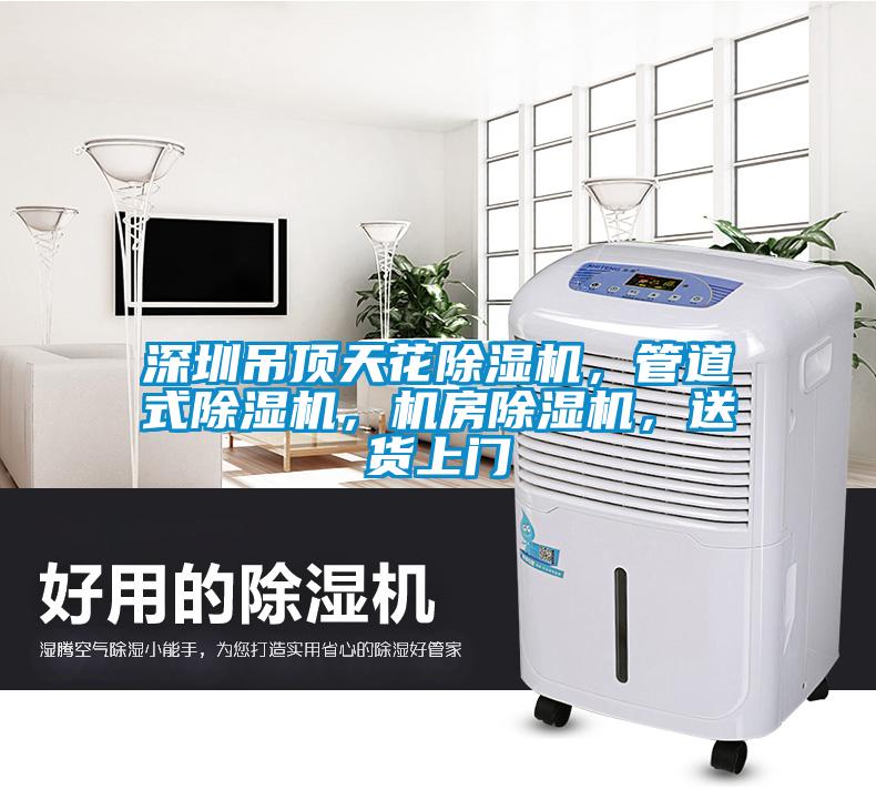 深圳吊頂天花除濕機(jī)，管道式除濕機(jī)，機(jī)房除濕機(jī)，送貨上門