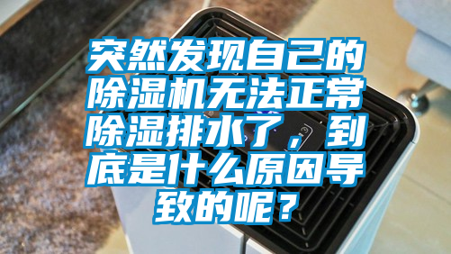 突然發(fā)現(xiàn)自己的除濕機(jī)無法正常除濕排水了，到底是什么原因?qū)е碌哪兀?/></p>
						    <p style=