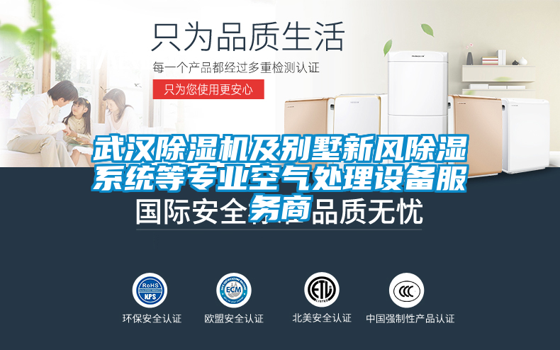 武漢除濕機及別墅新風除濕系統(tǒng)等專業(yè)空氣處理設(shè)備服務(wù)商
