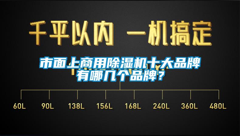 市面上商用除濕機(jī)十大品牌有哪幾個(gè)品牌？