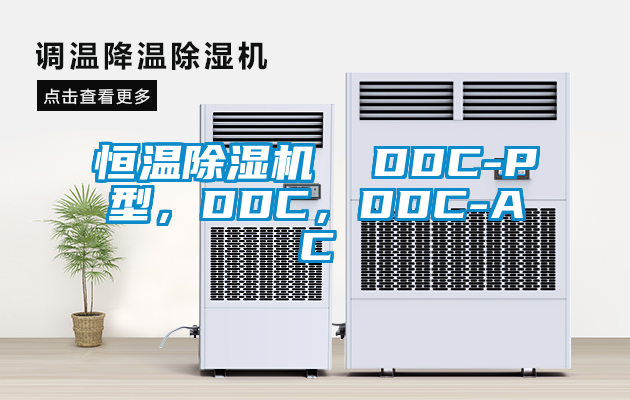 恒溫除濕機(jī)  DDC-P型，DDC，DDC-AC
