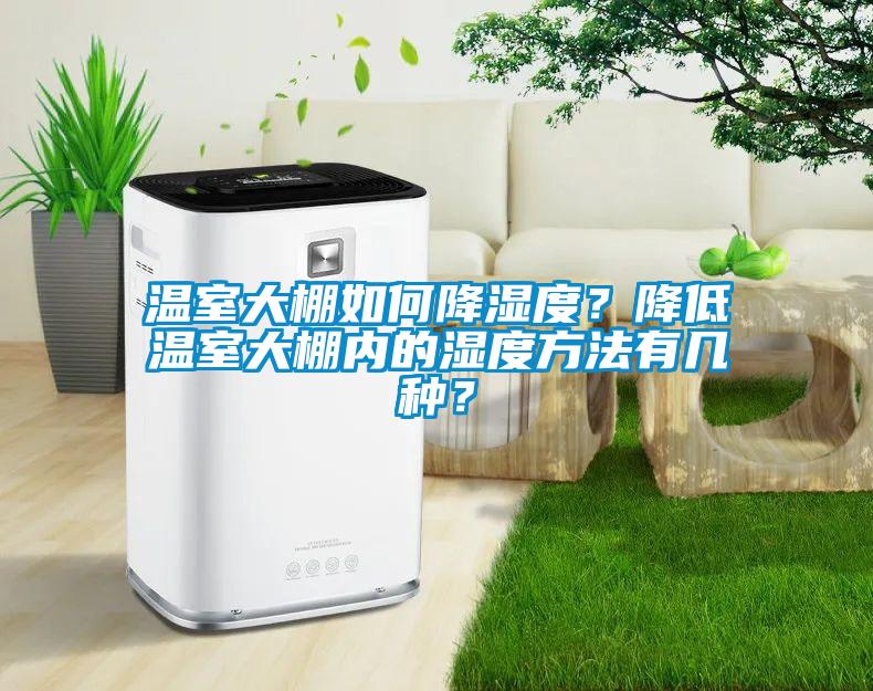 溫室大棚如何降濕度？降低溫室大棚內的濕度方法有幾種？