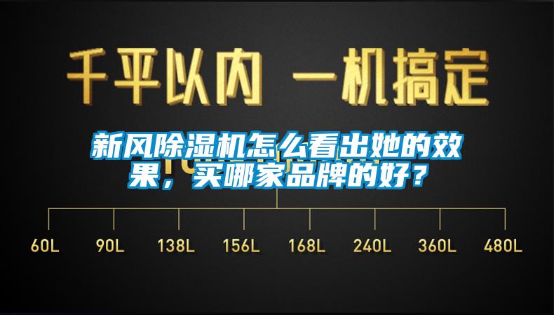 新風(fēng)除濕機(jī)怎么看出她的效果，買哪家品牌的好？