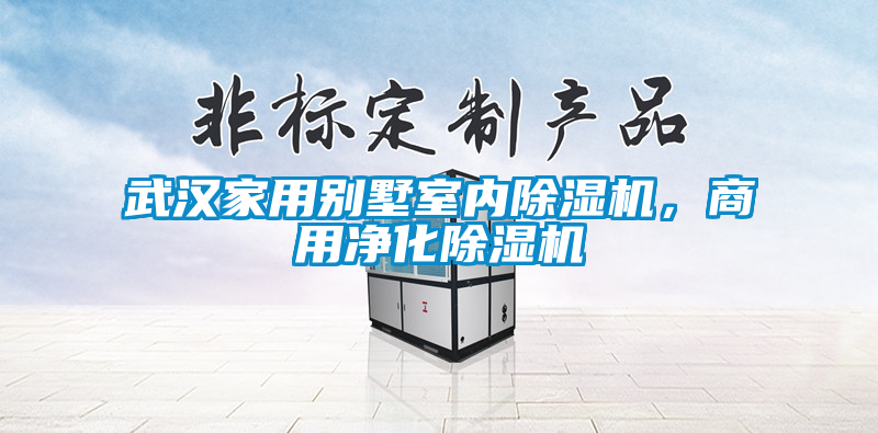武漢家用別墅室內(nèi)除濕機(jī)，商用凈化除濕機(jī)
