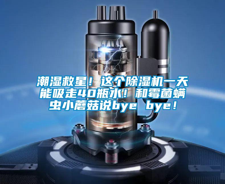 潮濕救星！這個(gè)除濕機(jī)一天能吸走40瓶水！和霉菌螨蟲小蘑菇說bye bye！
