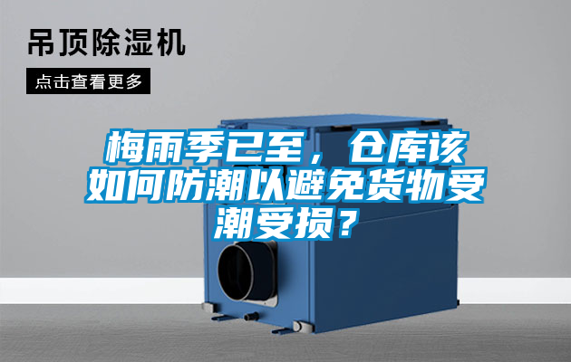 梅雨季已至，倉庫該如何防潮以避免貨物受潮受損？