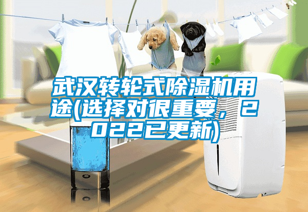 武漢轉輪式除濕機用途(選擇對很重要，2022已更新)