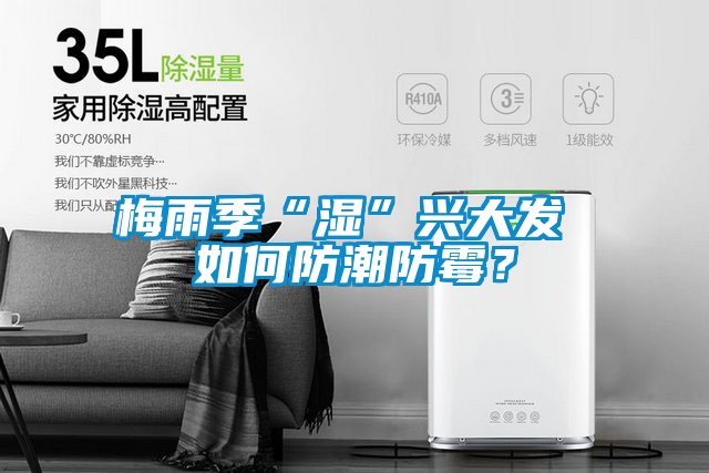 梅雨季“濕”興大發(fā) 如何防潮防霉？