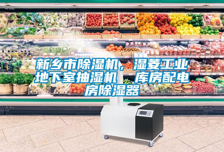 新鄉(xiāng)市除濕機(jī)，濕菱工業(yè)地下室抽濕機(jī)  庫房配電房除濕器