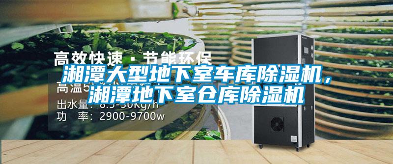 湘潭大型地下室車庫除濕機，湘潭地下室倉庫除濕機