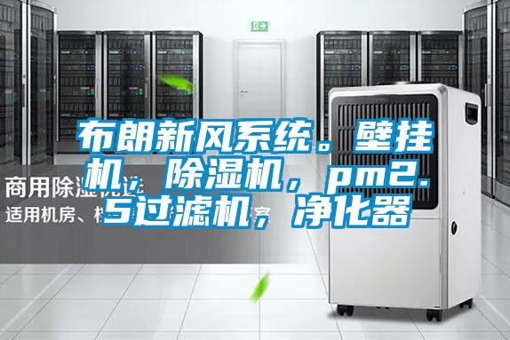 布朗新風(fēng)系統(tǒng)。壁掛機(jī)，除濕機(jī)，pm2.5過濾機(jī)，凈化器