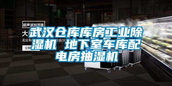 武漢倉(cāng)庫(kù)庫(kù)房工業(yè)除濕機(jī) 地下室車(chē)庫(kù)配電房抽濕機(jī)