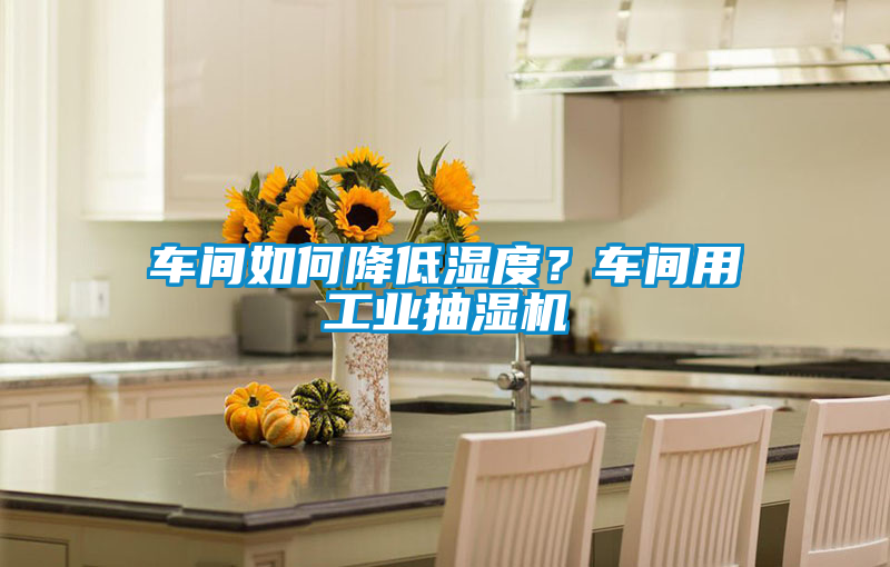 車間如何降低濕度？車間用工業(yè)抽濕機