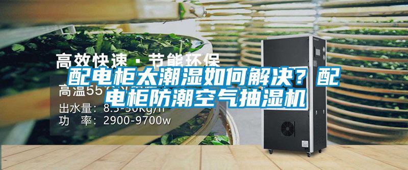 配電柜太潮濕如何解決？配電柜防潮空氣抽濕機(jī)
