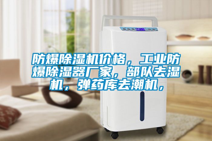 防爆除濕機(jī)價(jià)格，工業(yè)防爆除濕器廠家，部隊(duì)去濕機(jī)，彈藥庫去潮機(jī)，