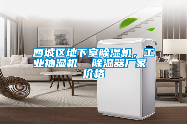 西城區(qū)地下室除濕機(jī)，工業(yè)抽濕機(jī)  除濕器廠家 價(jià)格