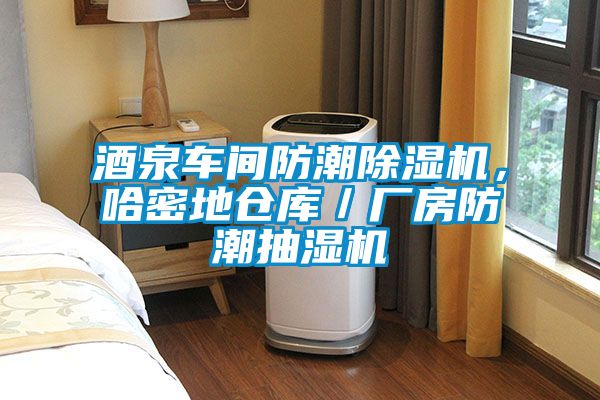 酒泉車間防潮除濕機(jī)，哈密地倉庫／廠房防潮抽濕機(jī)