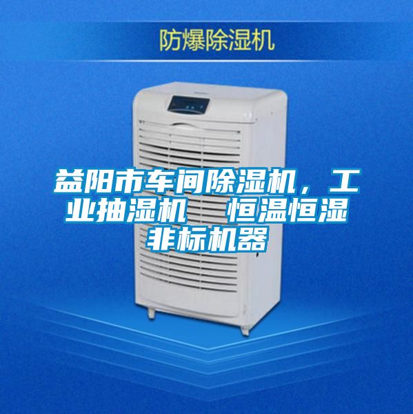 益陽(yáng)市車間除濕機(jī)，工業(yè)抽濕機(jī)  恒溫恒濕非標(biāo)機(jī)器