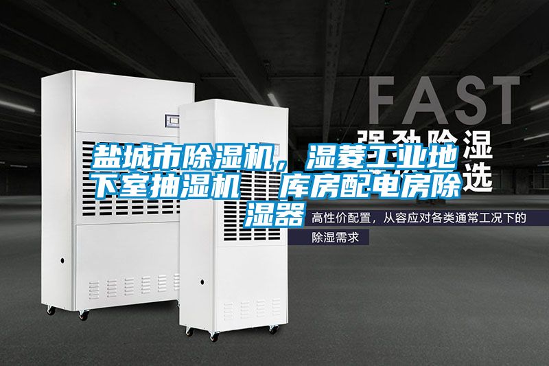 鹽城市除濕機(jī)，濕菱工業(yè)地下室抽濕機(jī)  庫(kù)房配電房除濕器