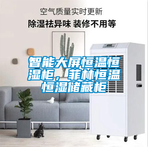 智能大屏恒溫恒濕柜，菲林恒溫恒濕儲(chǔ)藏柜