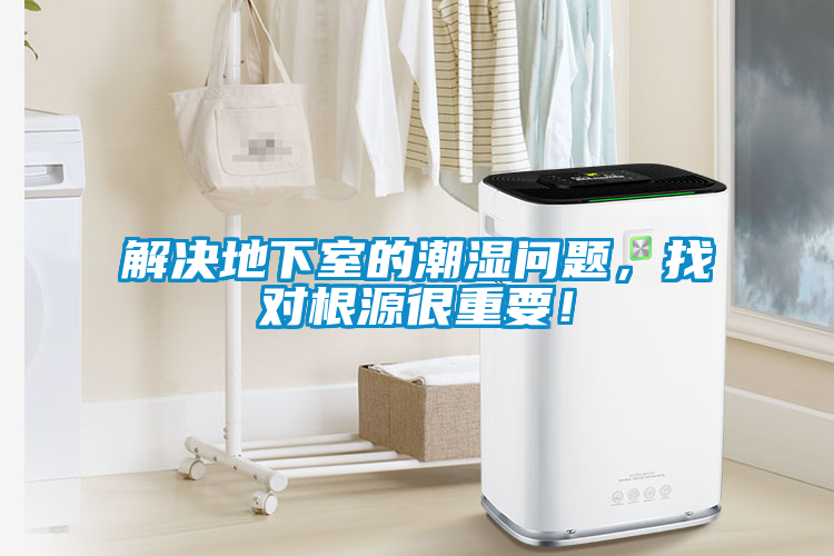 解決地下室的潮濕問題，找對根源很重要！