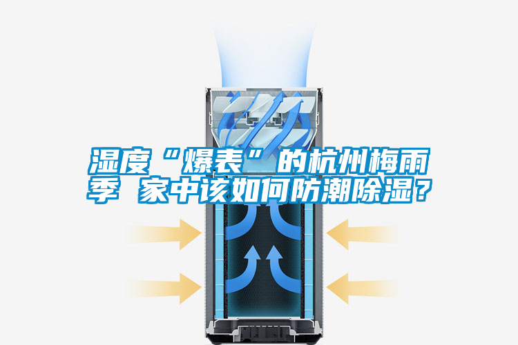 濕度“爆表”的杭州梅雨季 家中該如何防潮除濕？