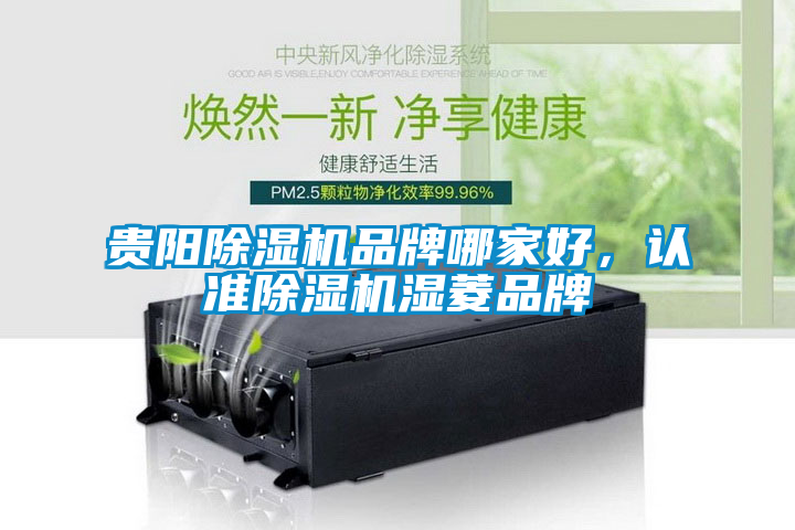 貴陽除濕機品牌哪家好，認(rèn)準(zhǔn)除濕機濕菱品牌