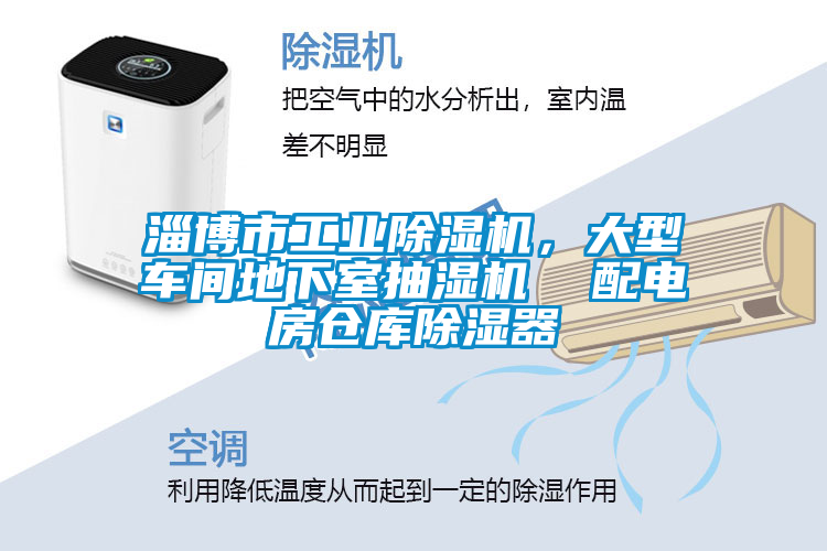 淄博市工業(yè)除濕機(jī)，大型車間地下室抽濕機(jī)  配電房倉庫除濕器