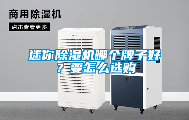 迷你除濕機哪個牌子好？要怎么選購