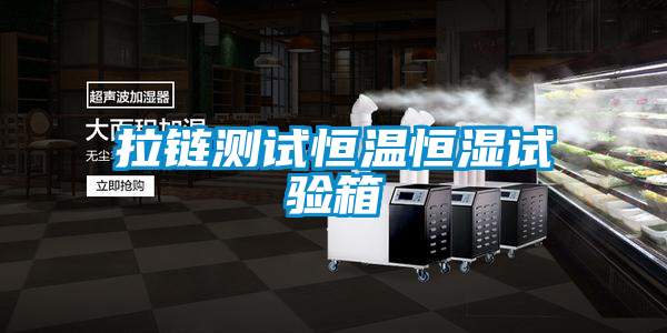 拉鏈測試恒溫恒濕試驗(yàn)箱