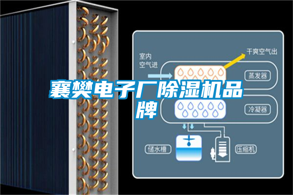 襄樊電子廠(chǎng)除濕機(jī)品牌