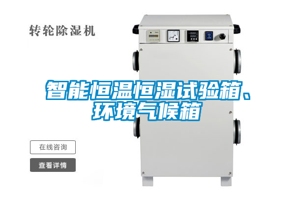 智能恒溫恒濕試驗(yàn)箱、環(huán)境氣候箱